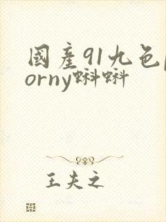 国产91九色porny蝌蚪