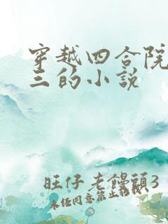 穿越四合院袁十三的小说 穿越四合院袁十三的小说