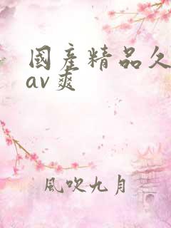 国产精品久久久av爽