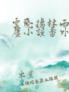 云飞扬林雨初云尘小说番外