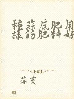 种蒜底肥用什么样的肥料好