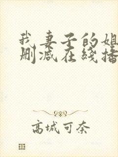 我妻子的姐姐无删减在线播放