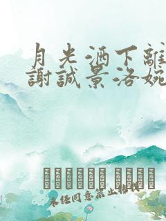 月光洒下离人巷谢诚景洛婉雪小说