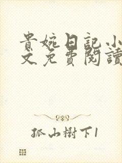贵婉日记小说全文免费阅读