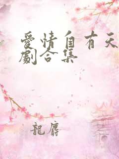 爱情自有天意短剧合集