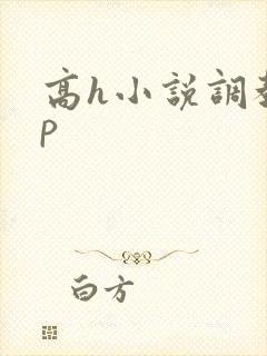 高h小说调教np