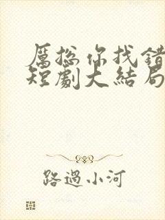 厉总你找错人了短剧大结局