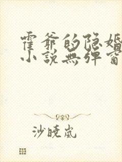 霍爷的隐婚罪妻小说无弹窗