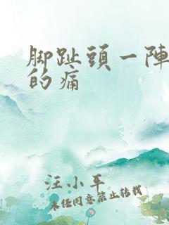 脚趾头一阵一阵的痛