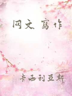 网文 写作