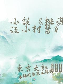 小说 《桃源风流小村医》