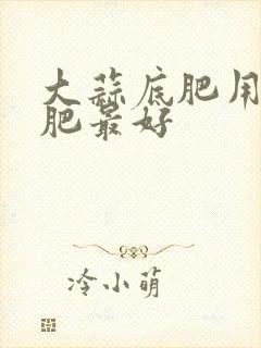 大蒜底肥用什么肥最好