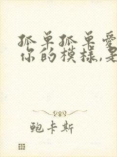 孤单孤单爱卷走你的模样,是什么歌曲