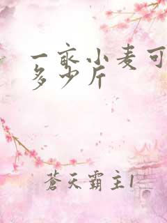 一亩小麦可以产多少斤
