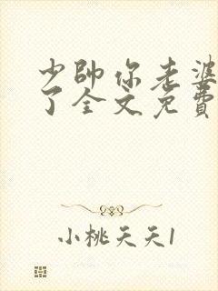 少帅你老婆又跑了全文免费阅读小说