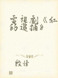 电视剧《红岩下的追捕》