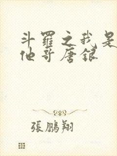 斗罗之我是唐三他哥唐银