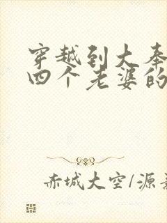 穿越到大奉娶了四个老婆的小说