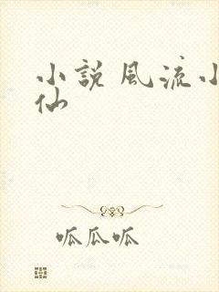 小说 风流小医仙