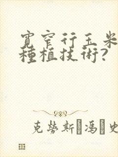 宽窄行玉米高产种植技术?