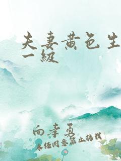 夫妻黄色生活片一级