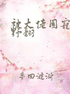 被大佬团宠后我野翻