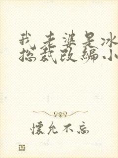 我老婆是冰山女总裁改编小说