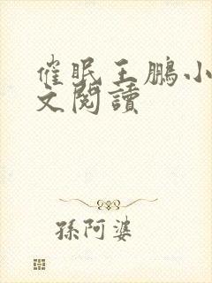 催眠王鹏小说全文阅读