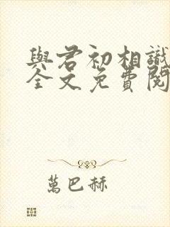 与君初相识小说全文免费阅读