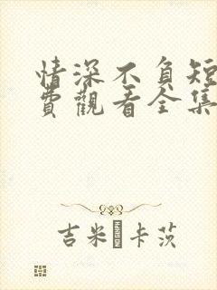 情深不负短剧免费观看全集高清版