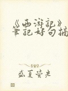 《西游记》读书笔记好句摘抄及读后感