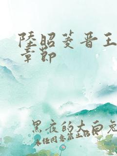 陆昭菱晋王最新章节