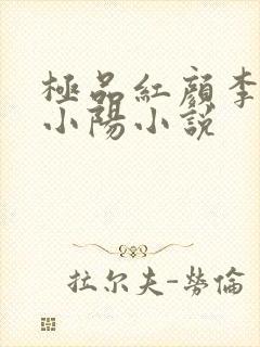 极品红颜李秀琴小阳小说