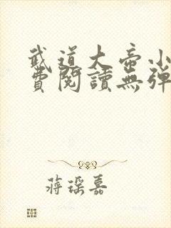 武道大帝小说免费阅读无弹窗