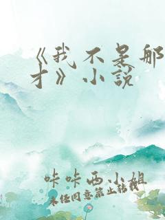 《我不是那种人才》小说