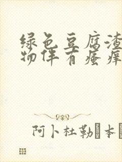 绿色豆腐渣分泌物伴有瘙痒用什么药