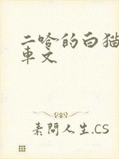 二哈的白猫师尊车文