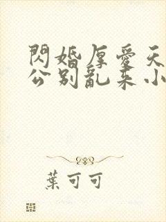 闪婚厚爱天价老公别乱来小说