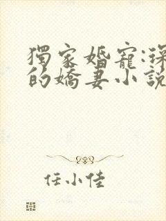 独家婚宠:琛少的娇妻小说 独家婚宠:琛少的娇妻小说