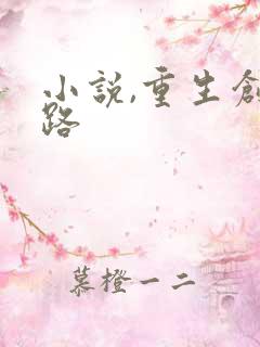 小说,重生创业路