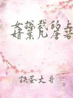 女总裁的上门龙婿叶凡唐若雪小说