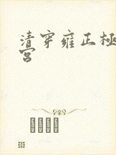 清穿雍正极品后宫