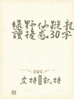 绿野仙踪龙卷风读后感30字