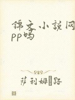 锦文小说网有app吗