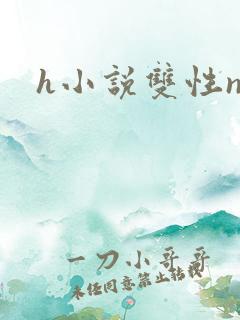 h小说双性np