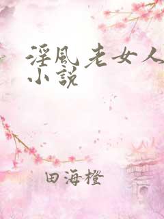 淫风老女人全部小说