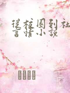 从校园到社会的言情小说