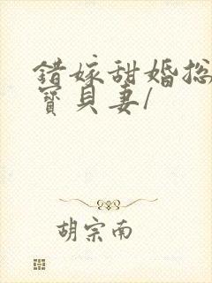 错嫁甜婚总裁的宝贝妻/