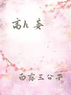 高h 妾 高h 妾