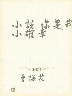 小说 你是我的小确幸